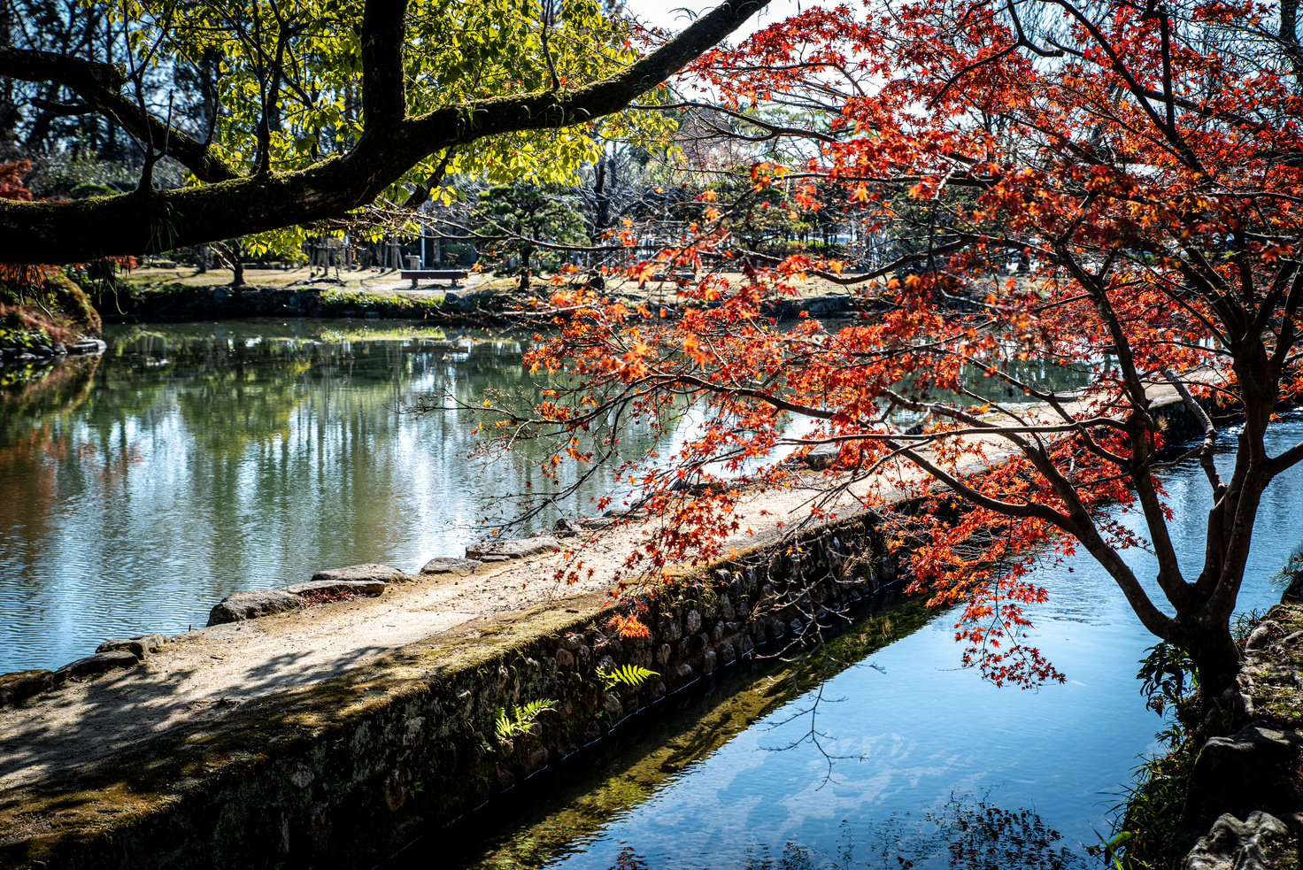 Kouno Park in Saga City, Saga Prefecture