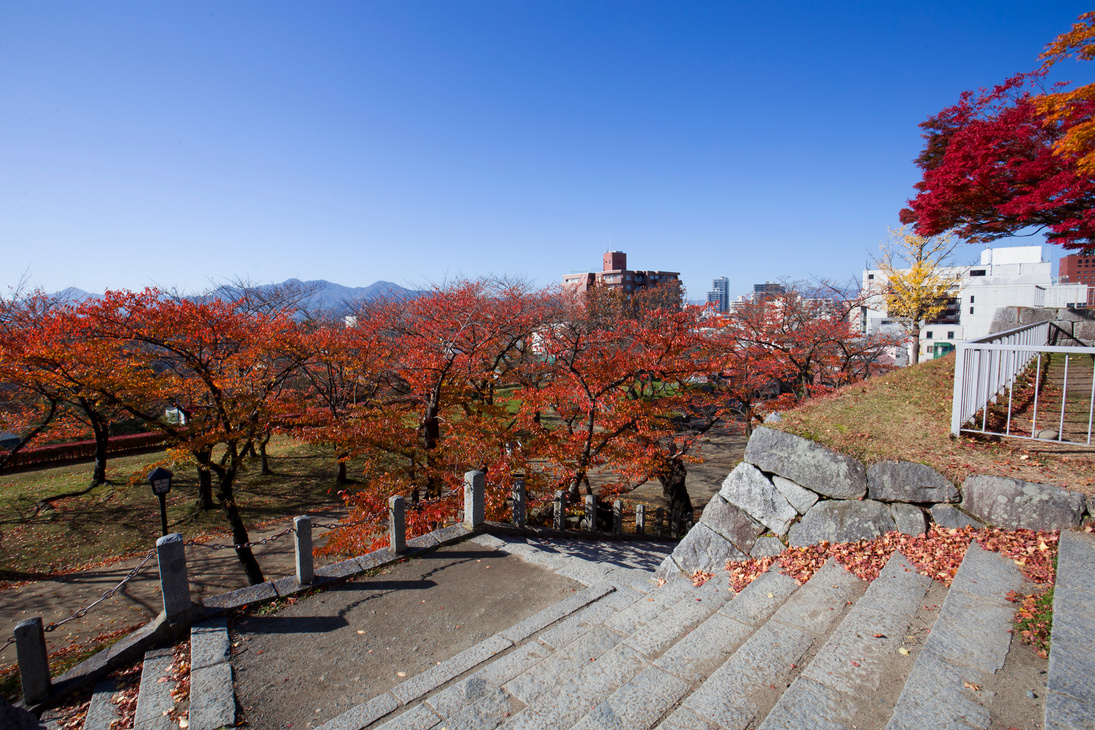 Autumn in Iwate park, Morioka city, Iwate, Japan.